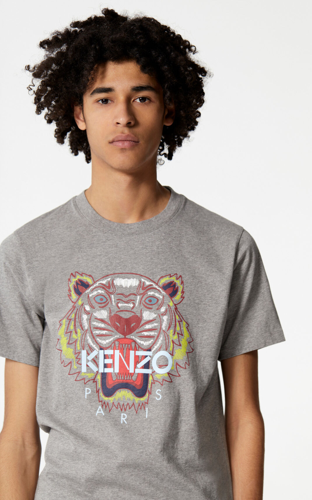 Kenzo Tiger Tişört Erkek Gri | 9342-XCBUD